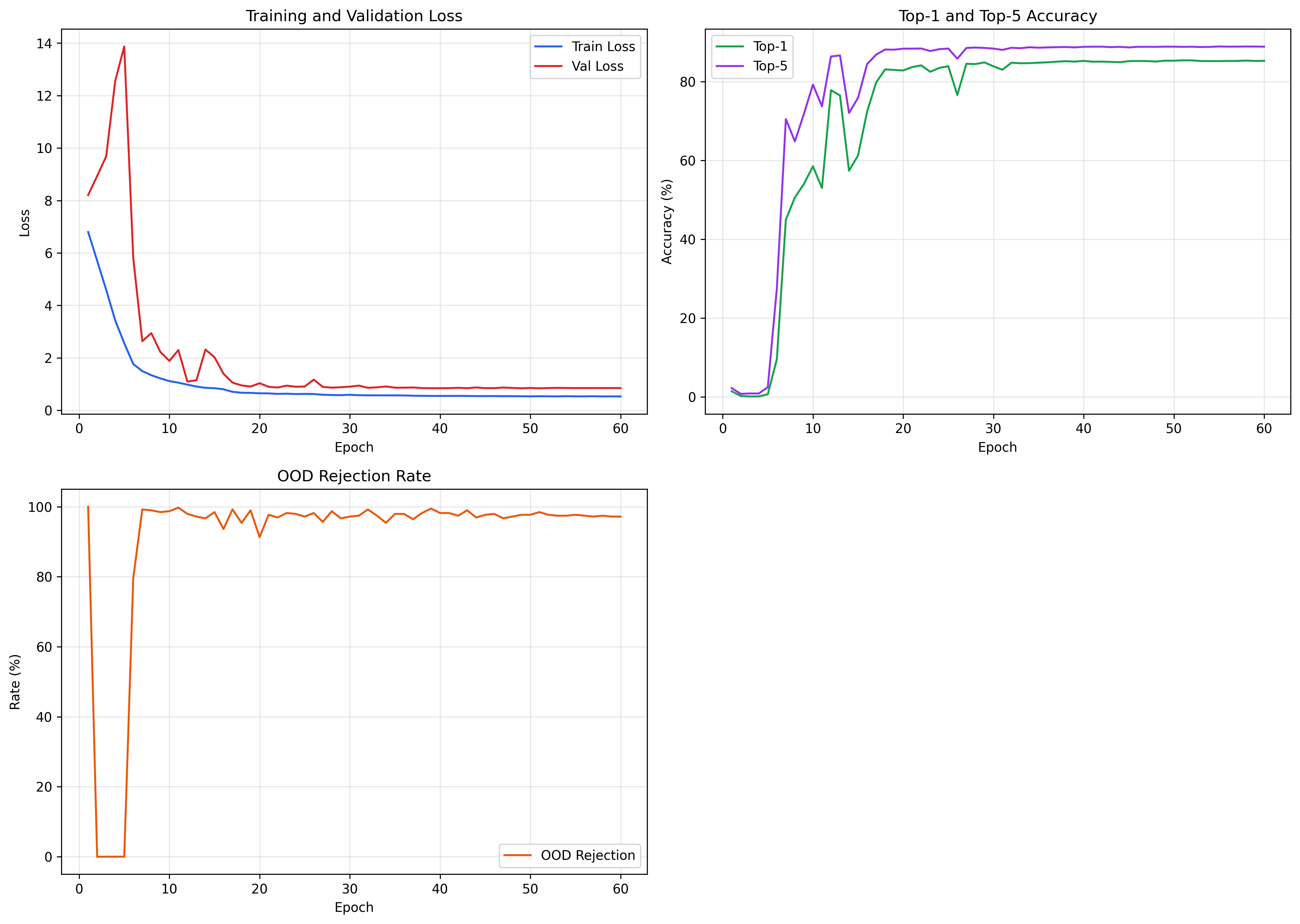 Scratch Training Curves